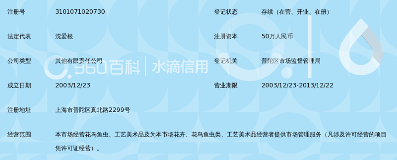绿植租摆:打造绿色办公环境的艺术